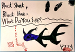 Black Shark, Black Shark, What Do You See?